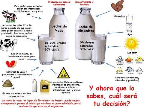 prevencion_osteoporosis