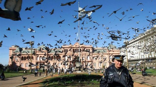 plaza-Mayo-palomas-clasico