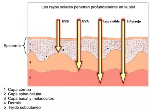 medidor-radiacion-pce-uv34-esquema