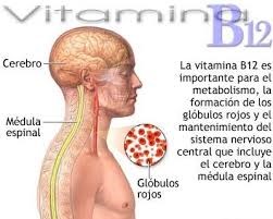 b12