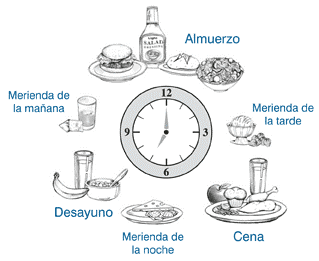 metabolismo