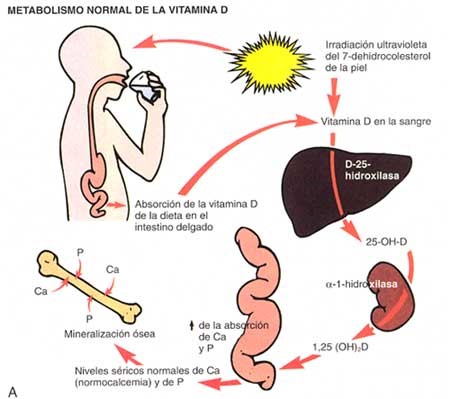 vitaminaD