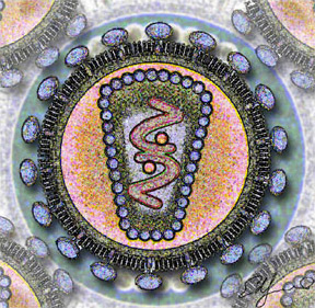 Human_Immunodeficency_Virus_-_stylized_rendering