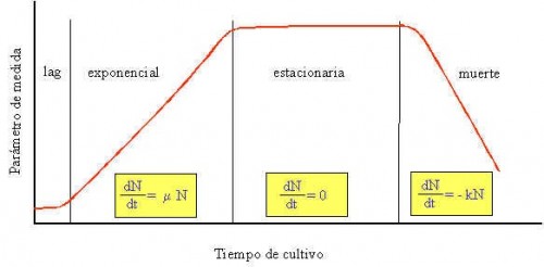 grafica