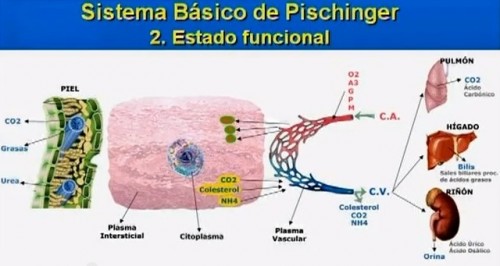 sistema-pischinger