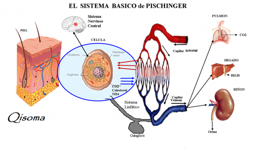 sistemas_basico_pischinger