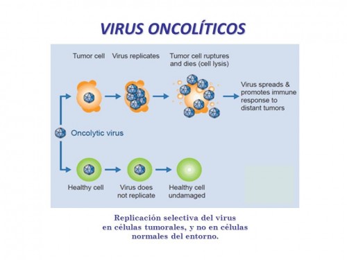 virus_oncoliticos