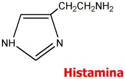 HISTAMINA