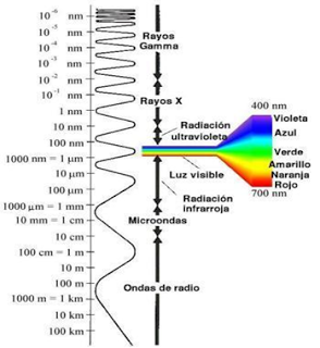 luz