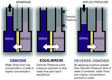 osmosis