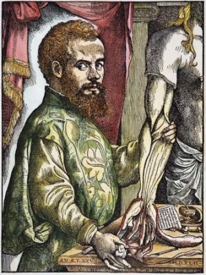 Vesalio