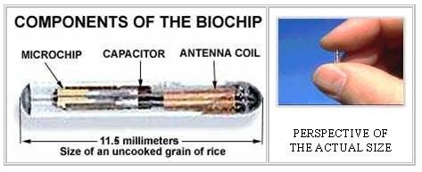 biochip
