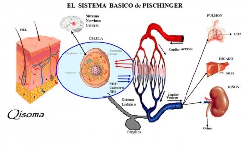 sistema_basico_pischinger