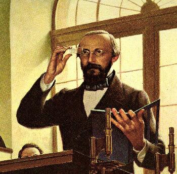 virchow5