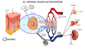 quisoma