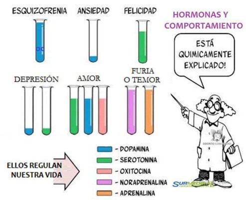 quimica