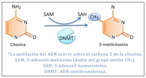 meti2