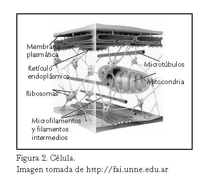 tensegridad