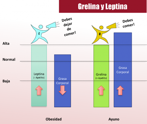 leptina