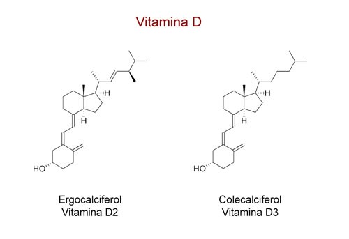 vitamina-d-estructura