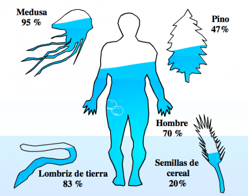 bio agua