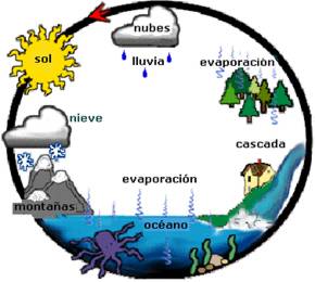 ciclo2
