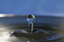 gota