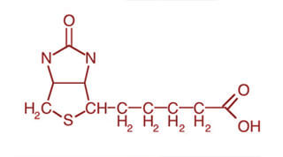 biotina