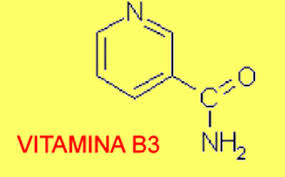 vit b3