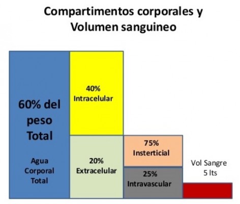 agua corporal