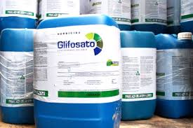 glifosato