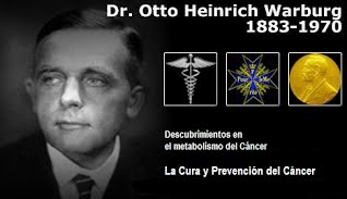 Otto Warburg-Nobel